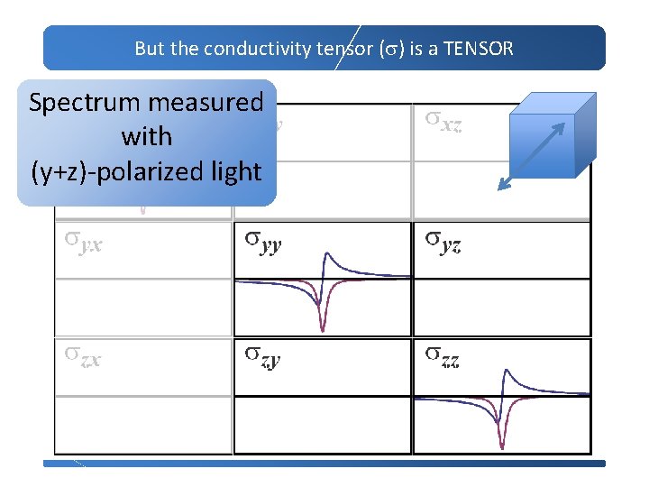 But the conductivity tensor (s) is a TENSOR Spectrum measured with (y+z)-polarized light 