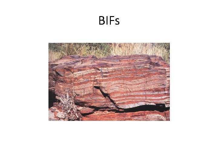 BIFs 