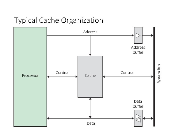 Typical Cache Organization 