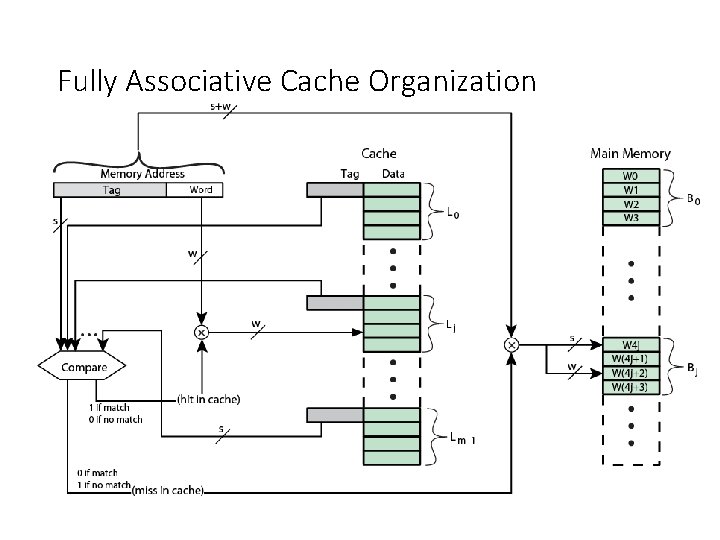 Fully Associative Cache Organization 