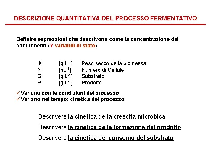 DESCRIZIONE QUANTITATIVA DEL PROCESSO FERMENTATIVO Definire espressioni che descrivono come la concentrazione dei componenti