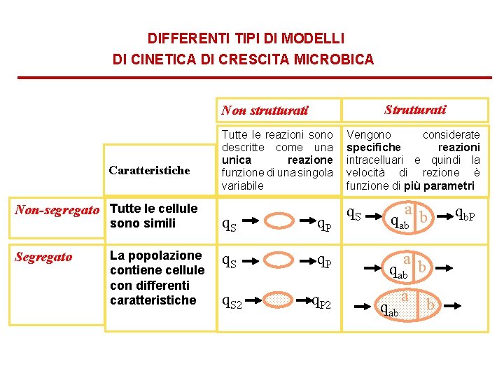 DIFFERENTI TIPI DI MODELLI DI CINETICA DI CRESCITA MICROBICA Strutturati Non strutturati Caratteristiche Non-segregato