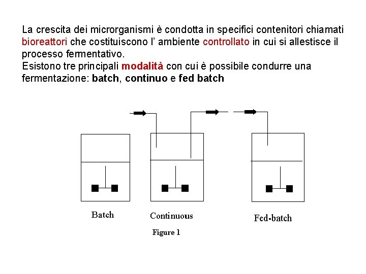 La crescita dei microrganismi è condotta in specifici contenitori chiamati bioreattori che costituiscono l’