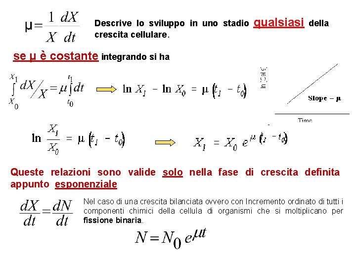 Descrive lo sviluppo in uno stadio crescita cellulare. qualsiasi della se µ è costante