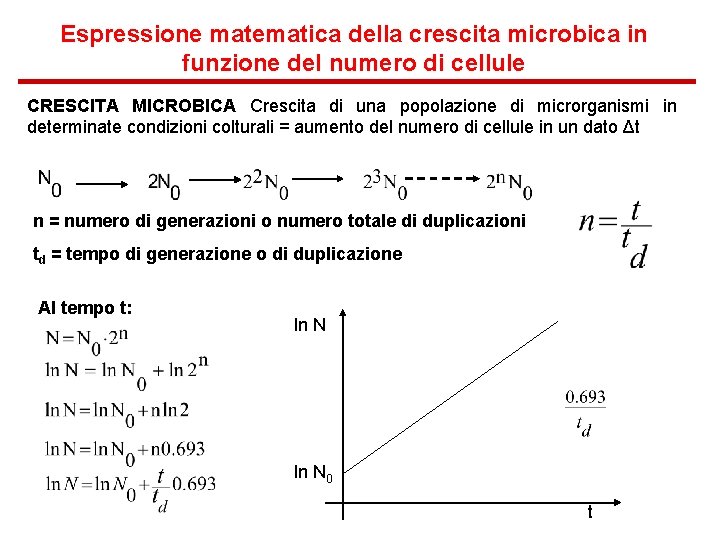 Espressione matematica della crescita microbica in funzione del numero di cellule CRESCITA MICROBICA Crescita