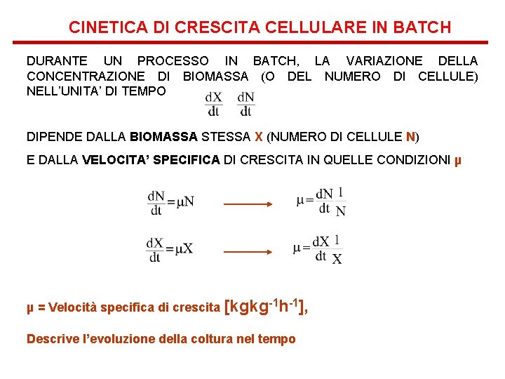 CINETICA DI CRESCITA CELLULARE IN BATCH DURANTE UN PROCESSO IN BATCH, LA VARIAZIONE DELLA