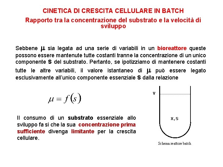 CINETICA DI CRESCITA CELLULARE IN BATCH Rapporto tra la concentrazione del substrato e la