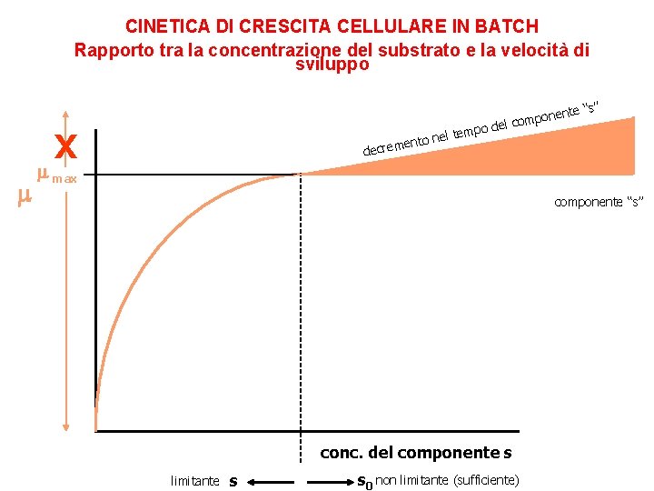 CINETICA DI CRESCITA CELLULARE IN BATCH Rapporto tra la concentrazione del substrato e la