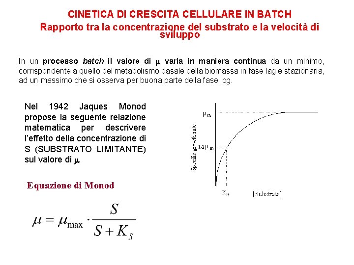 CINETICA DI CRESCITA CELLULARE IN BATCH Rapporto tra la concentrazione del substrato e la