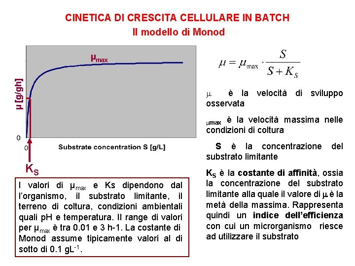 CINETICA DI CRESCITA CELLULARE IN BATCH Il modello di Monod μ [g/gh] μmax m