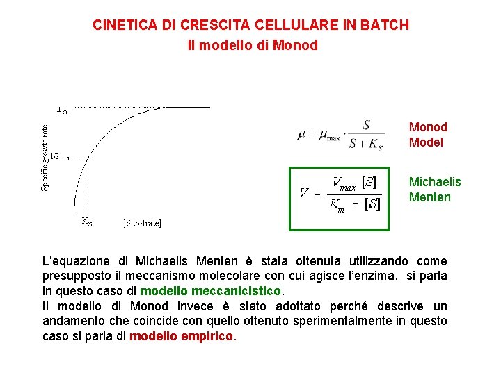 CINETICA DI CRESCITA CELLULARE IN BATCH Il modello di Monod Model Michaelis Menten L’equazione