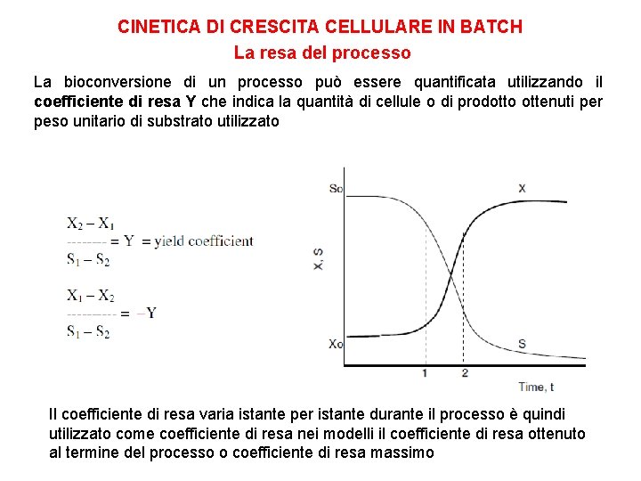 CINETICA DI CRESCITA CELLULARE IN BATCH La resa del processo La bioconversione di un