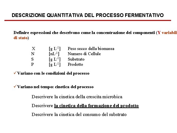 DESCRIZIONE QUANTITATIVA DEL PROCESSO FERMENTATIVO Definire espressioni che descrivono come la concentrazione dei componenti