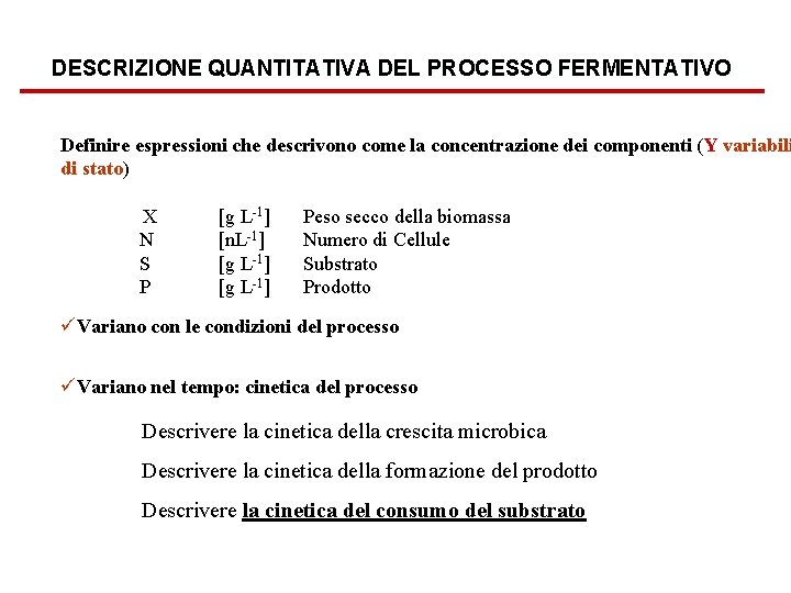 DESCRIZIONE QUANTITATIVA DEL PROCESSO FERMENTATIVO Definire espressioni che descrivono come la concentrazione dei componenti