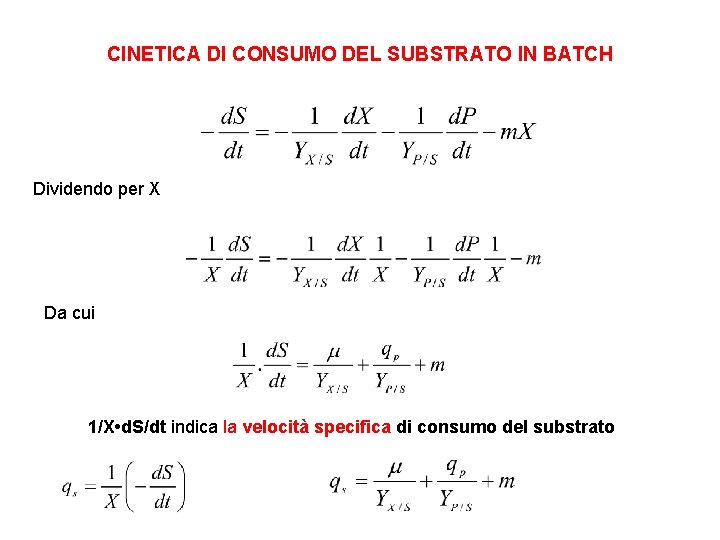 CINETICA DI CONSUMO DEL SUBSTRATO IN BATCH Dividendo per X Da cui 1/X •