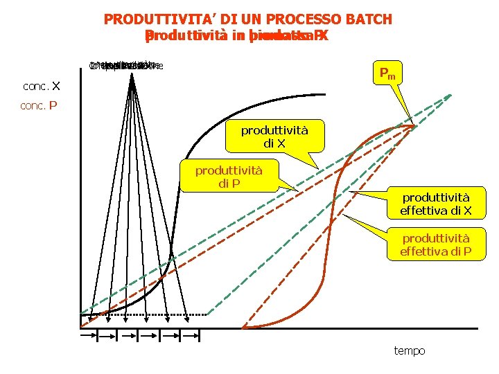 PRODUTTIVITA’ DI UN PROCESSO BATCH Produttività produttività in biomassa prodotto PX svuotamento 1^sterilizzazione contr.