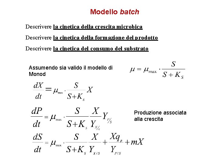 Modello batch Descrivere la cinetica della crescita microbica Descrivere la cinetica della formazione del