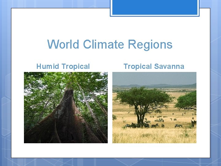 World Climate Regions Humid Tropical Savanna 