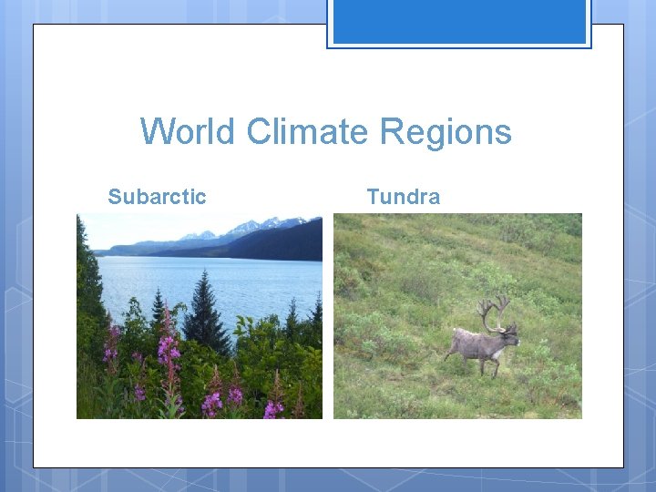 World Climate Regions Subarctic Tundra 