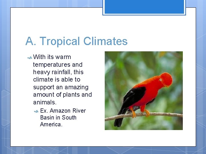 A. Tropical Climates With its warm temperatures and heavy rainfall, this climate is able