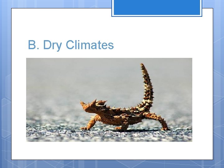 B. Dry Climates 