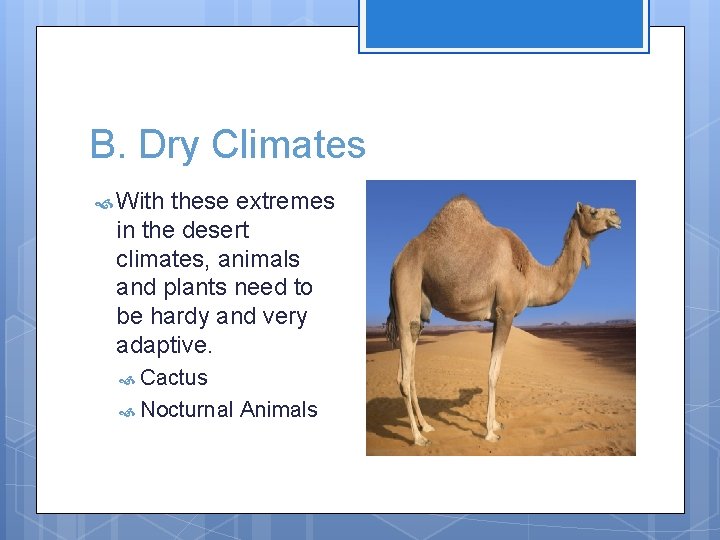 B. Dry Climates With these extremes in the desert climates, animals and plants need