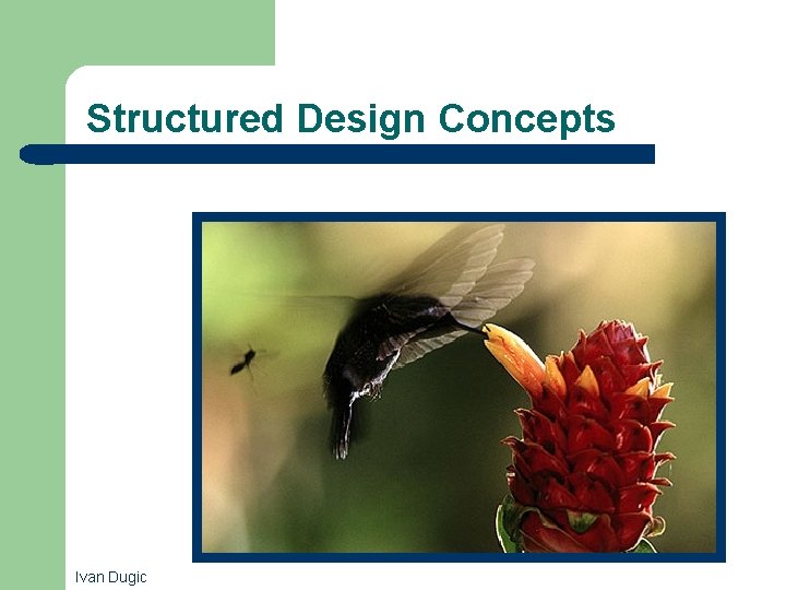 Structured Design Concepts Ivan Dugic 