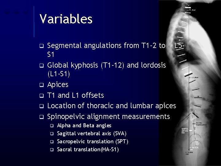 Variables q q q Segmental angulations from T 1 -2 to L 5 S