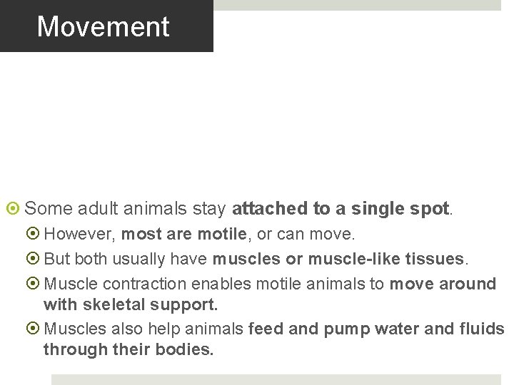 Movement Some adult animals stay attached to a single spot. However, most are motile,