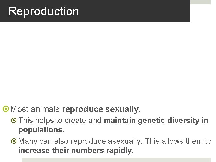 Reproduction Most animals reproduce sexually. This helps to create and maintain genetic diversity in