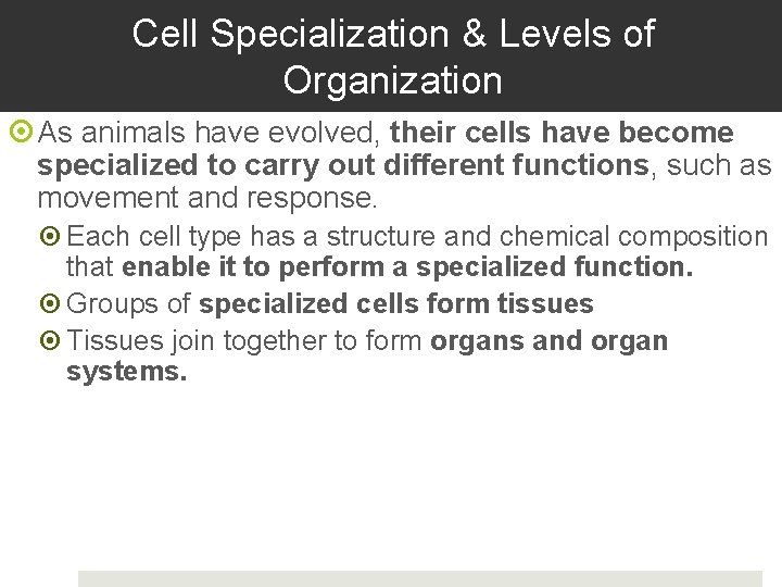 Cell Specialization & Levels of Organization As animals have evolved, their cells have become