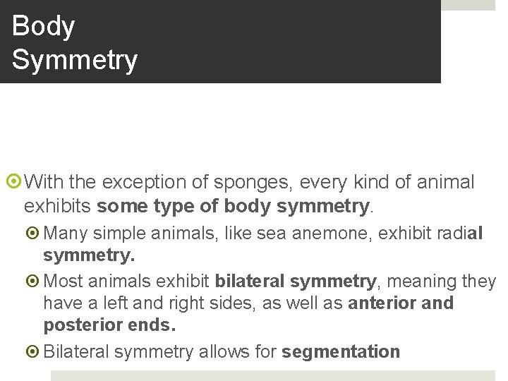 Body Symmetry With the exception of sponges, every kind of animal exhibits some type