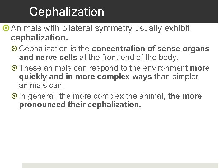 Cephalization Animals with bilateral symmetry usually exhibit cephalization. Cephalization is the concentration of sense