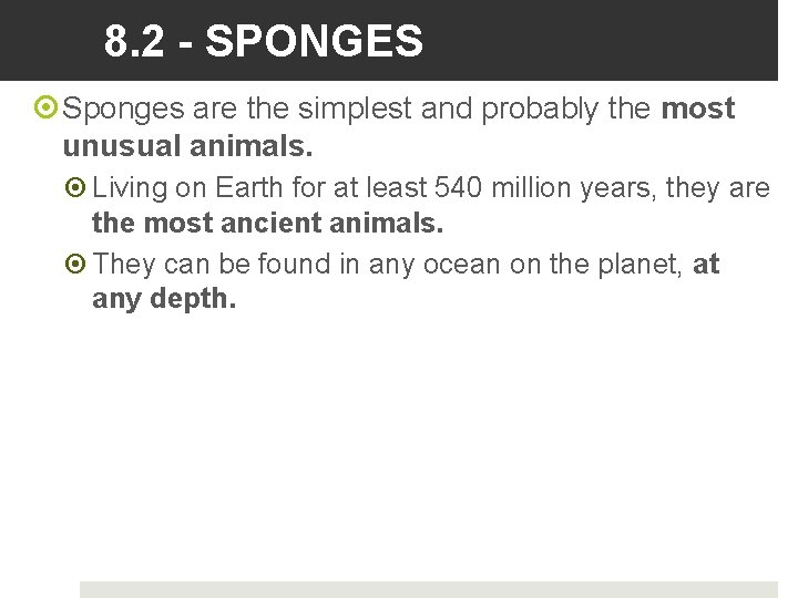 8. 2 - SPONGES Sponges are the simplest and probably the most unusual animals.