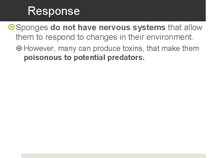 Response Sponges do not have nervous systems that allow them to respond to changes