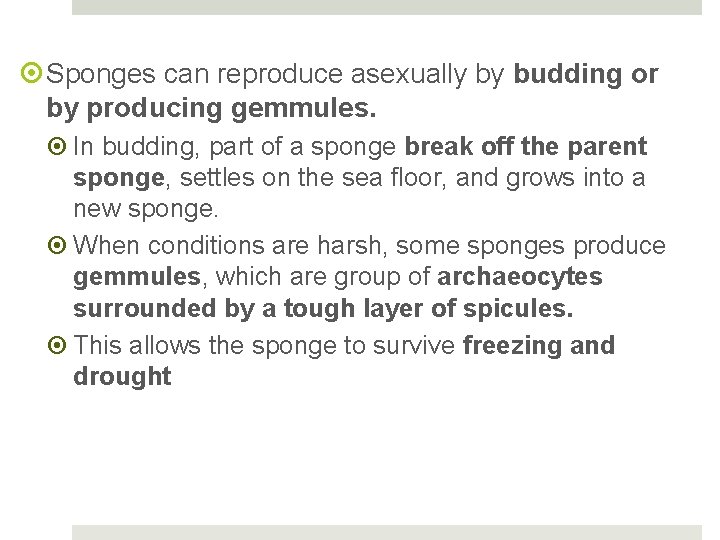  Sponges can reproduce asexually by budding or by producing gemmules. In budding, part