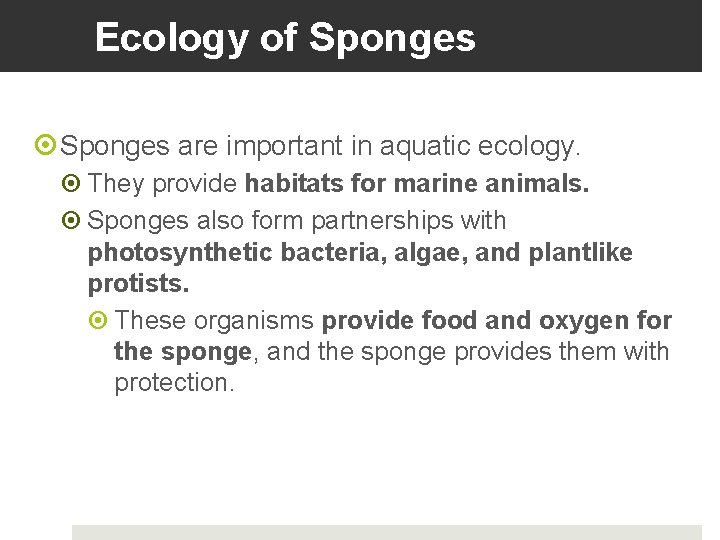 Ecology of Sponges are important in aquatic ecology. They provide habitats for marine animals.