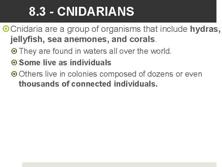8. 3 - CNIDARIANS Cnidaria are a group of organisms that include hydras, jellyfish,