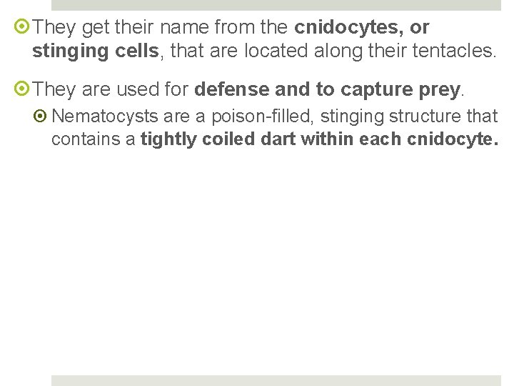  They get their name from the cnidocytes, or stinging cells, that are located