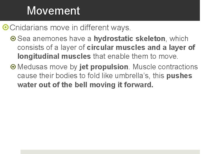 Movement Cnidarians move in different ways. Sea anemones have a hydrostatic skeleton, which consists