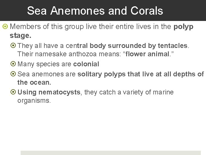 Sea Anemones and Corals Members of this group live their entire lives in the