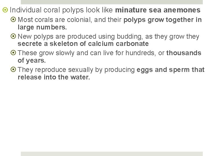  Individual coral polyps look like minature sea anemones Most corals are colonial, and