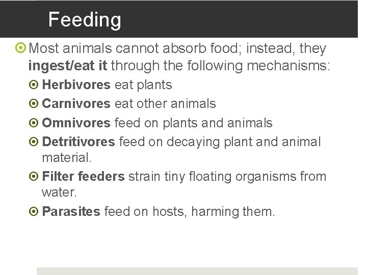 Feeding Most animals cannot absorb food; instead, they ingest/eat it through the following mechanisms: