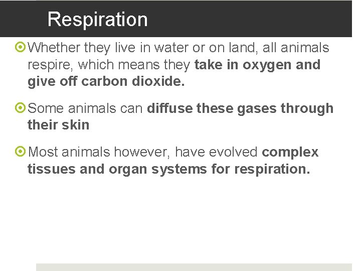 Respiration Whether they live in water or on land, all animals respire, which means