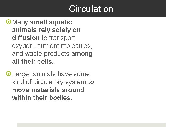 Circulation Many small aquatic animals rely solely on diffusion to transport oxygen, nutrient molecules,