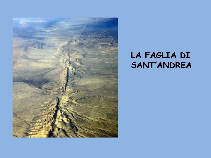 LA FAGLIA DI SANT’ANDREA 