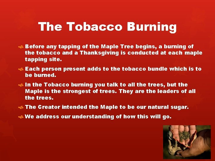 The Tobacco Burning Before any tapping of the Maple Tree begins, a burning of