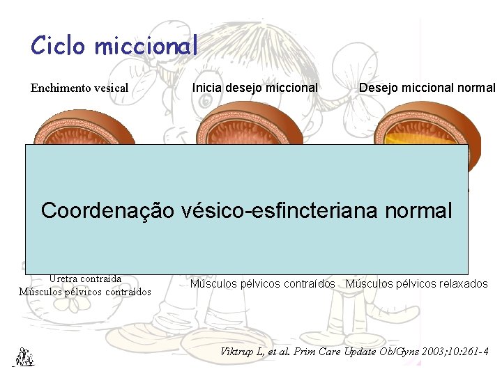 Ciclo miccional Enchimento vesical Inicia desejo miccional Desejo miccional normal Coordenação vésico-esfincteriana normal Bexiga