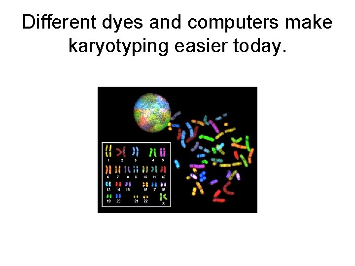 Different dyes and computers make karyotyping easier today. 