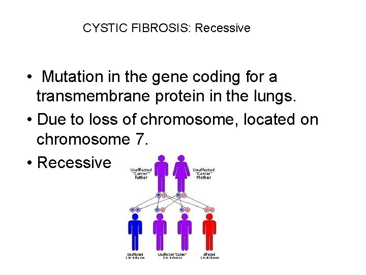 CYSTIC FIBROSIS: Recessive • Mutation in the gene coding for a transmembrane protein in